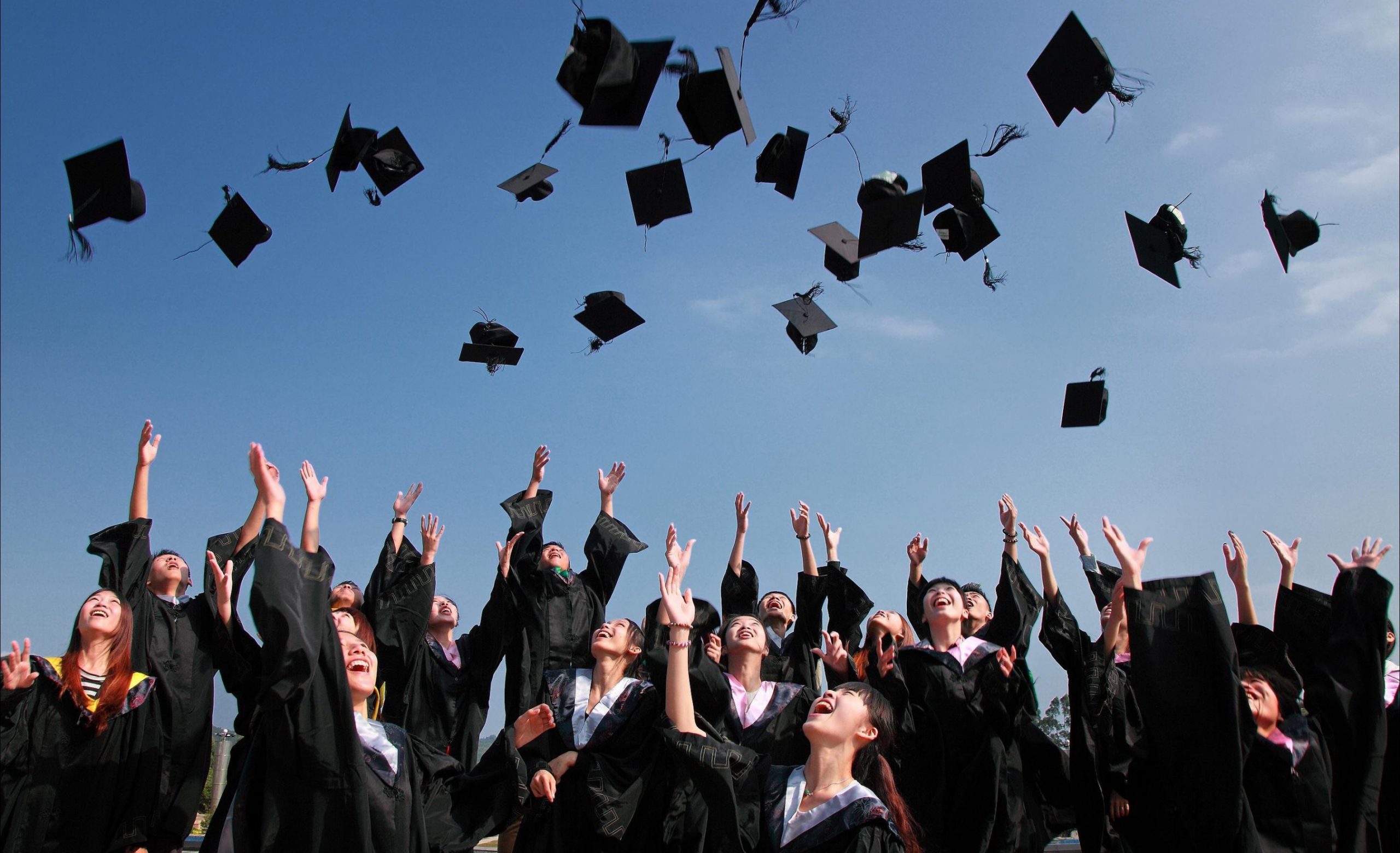 alumni alumni